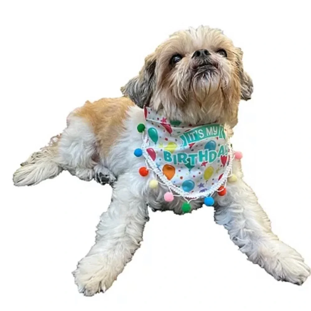 Woof it’s my Birthday Bandana For Pets size L/XL or 15 to 18 inches NEW